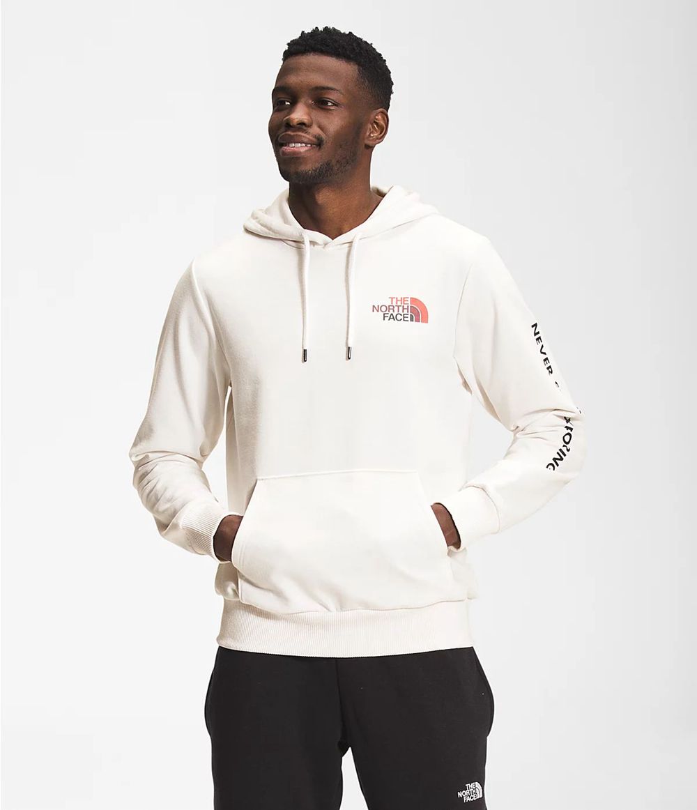 The North Face Logo Play Kapuzenpullover Herren - Weiß CH-930OBDT